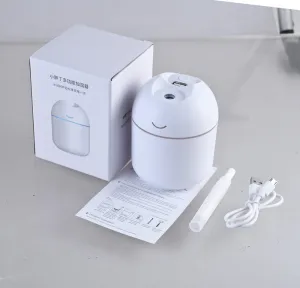 car silent mini humidifier customized