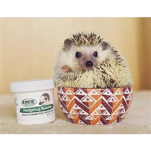 Hedgehog Starter Pack