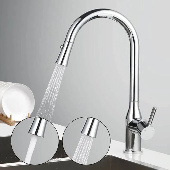 HOMELODY 2 functions 360 ° Swivel Pull-out Kitchen Faucet